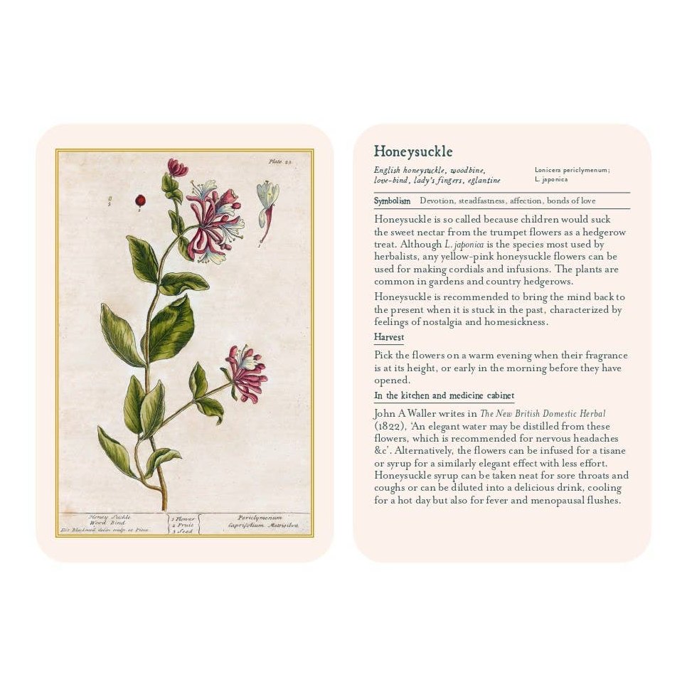 Healing Plants