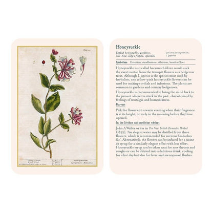 Healing Plants
