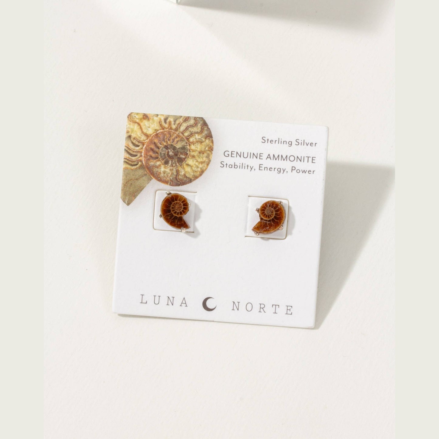 Ammonite Sterling Silver Post Earrings