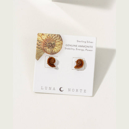 Ammonite Sterling Silver Post Earrings