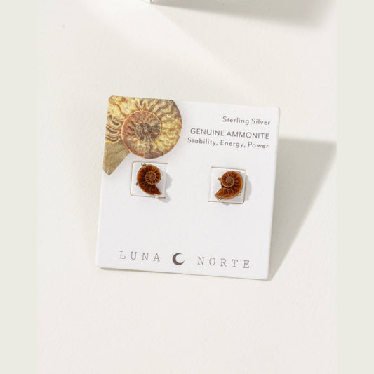 Ammonite Sterling Silver Post Earrings
