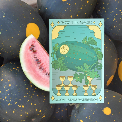 Moon and Stars Watermelon Tarot Seed Packet