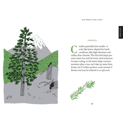 Pocket Nature: Tree Hugging