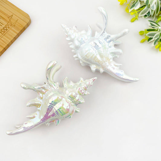 Seashell Hair Claw Clip, Ocean-Inspired Marine Hair Clip - The Feral Market