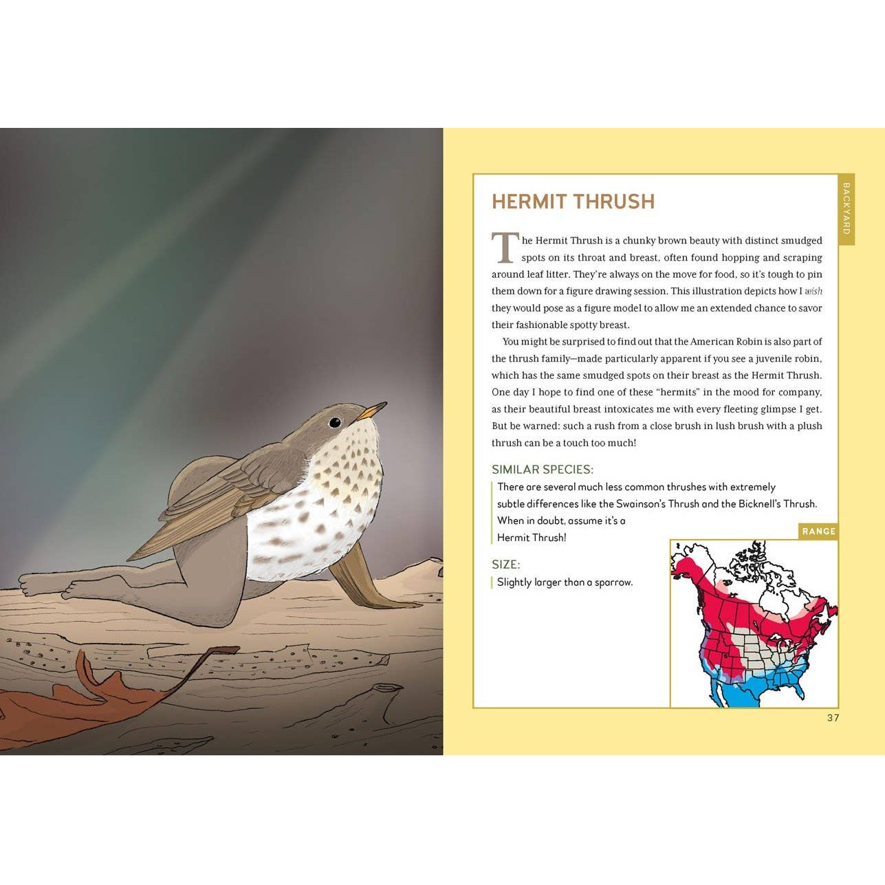 Extremely Accurate Birds