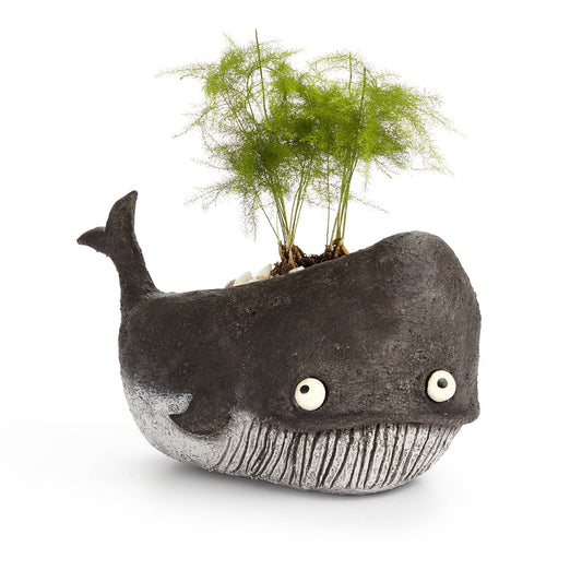 Goliath Whale Blobhouse Planter