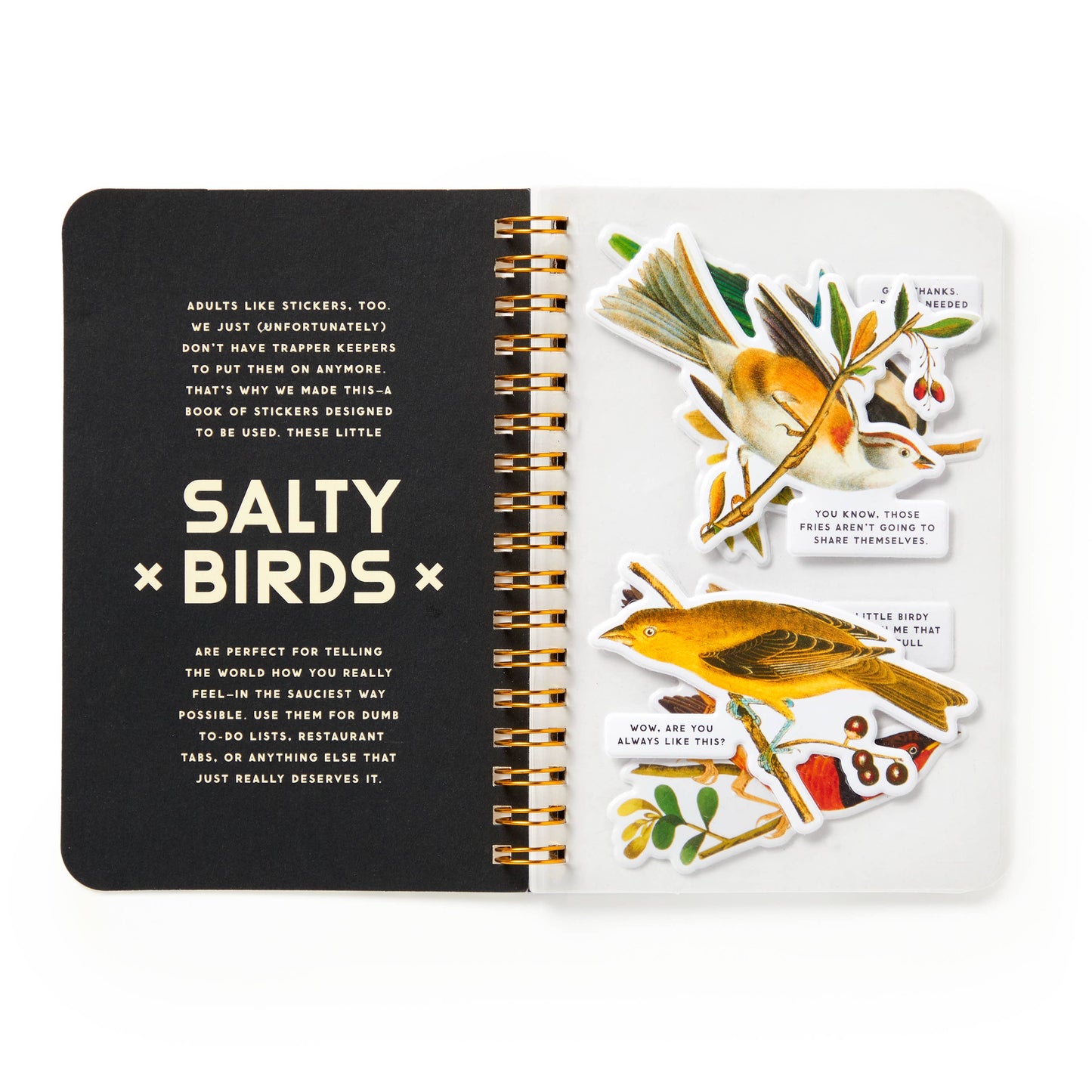 Brass Monkey Salty Birds Sticker Book