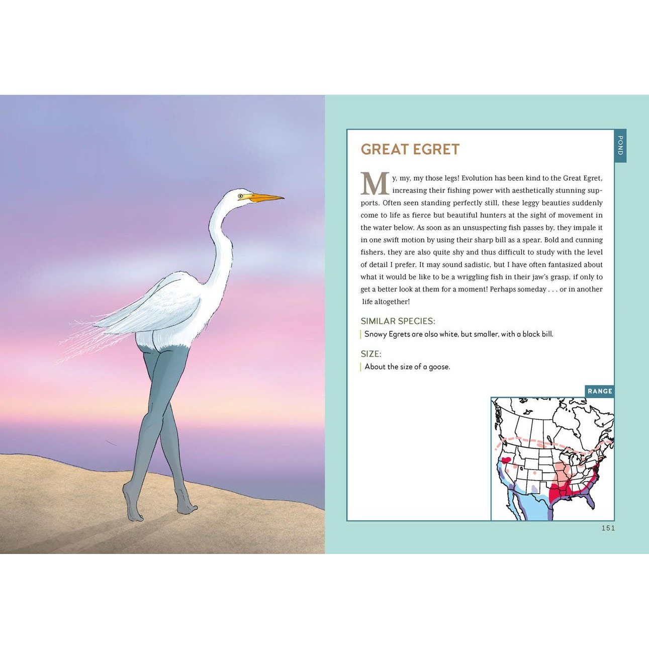 Extremely Accurate Birds