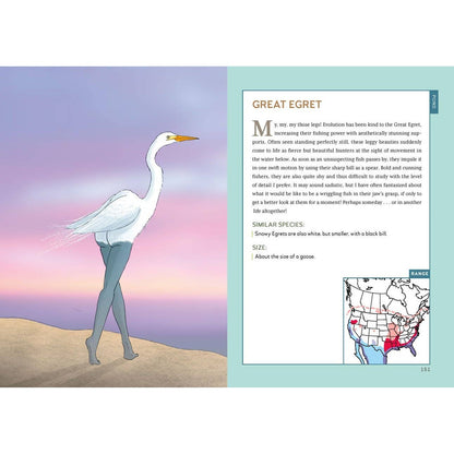 Extremely Accurate Birds