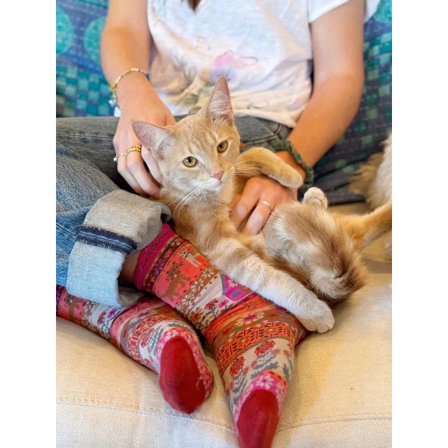 Boxed Boho Sock, Set of 3 - Cat