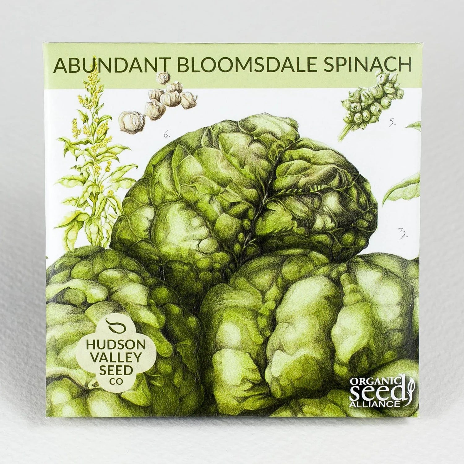 Abundant Bloomsdale Spinach - The Feral Market