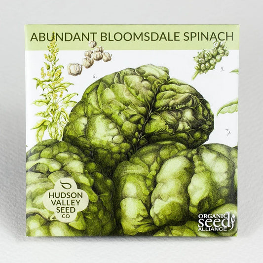 Abundant Bloomsdale Spinach - The Feral Market