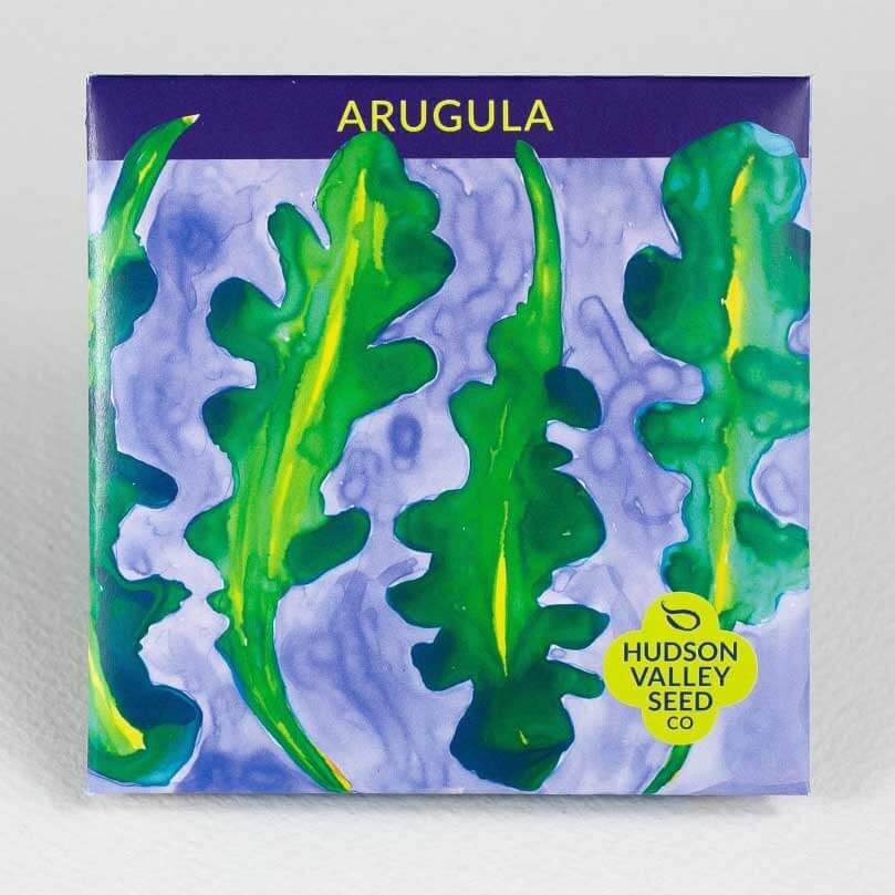 Arugula - Eruca sativa - The Feral Market