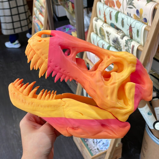 3D Printed T-Rex Skull *Sunrise*