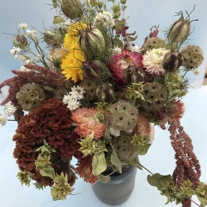 Everlasting Flower Mix