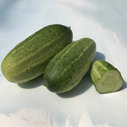 Homemade Pickles Cucumber