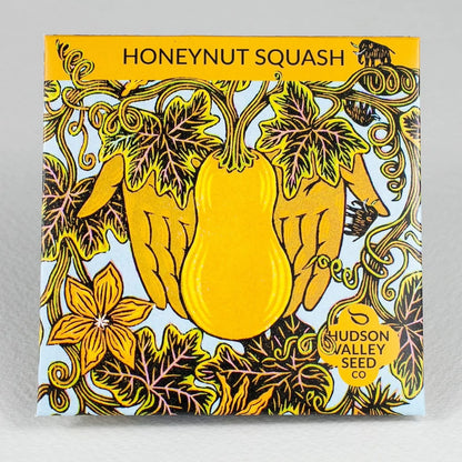 Honeynut Squash