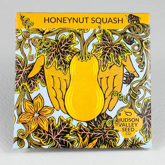 Honeynut Squash