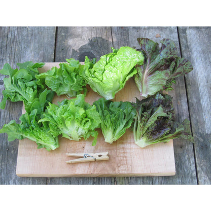 Little Gem Lettuce Mix