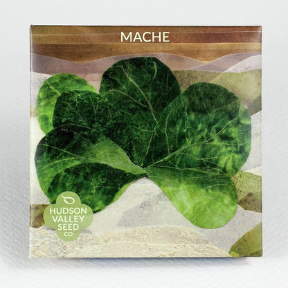 Mache - The Feral Market
