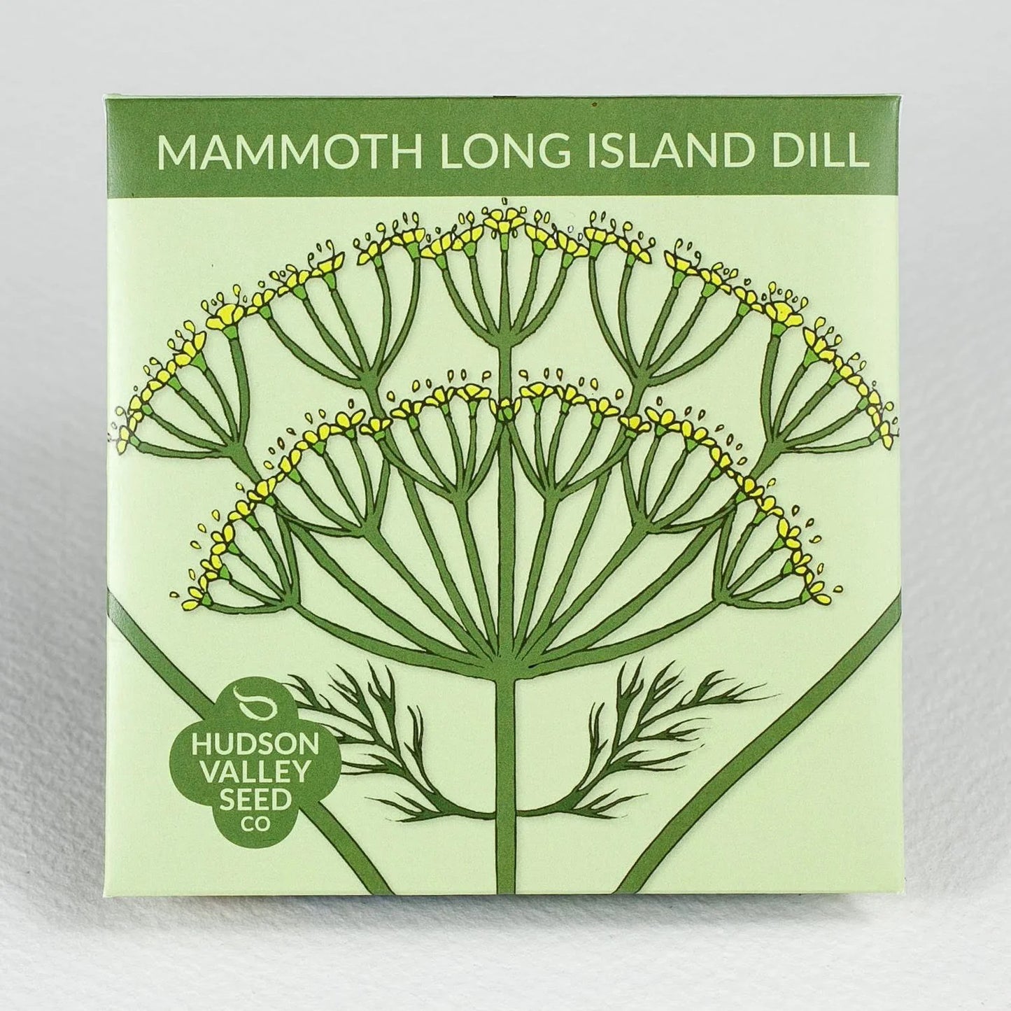 Mammoth Long Island Dill