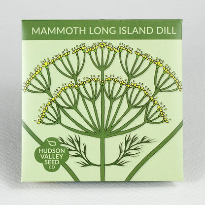 Mammoth Long Island Dill