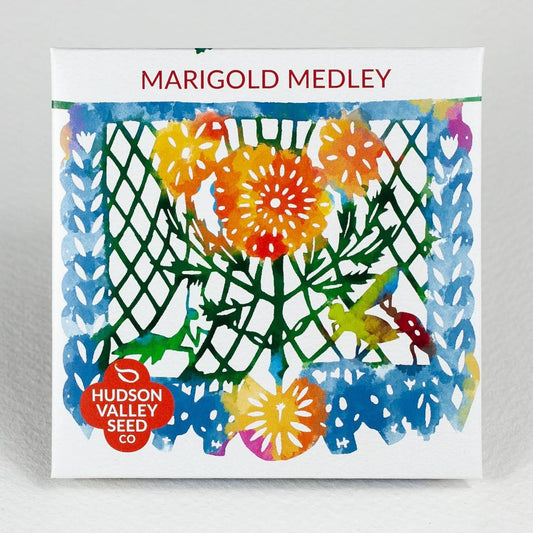 Marigold Medley