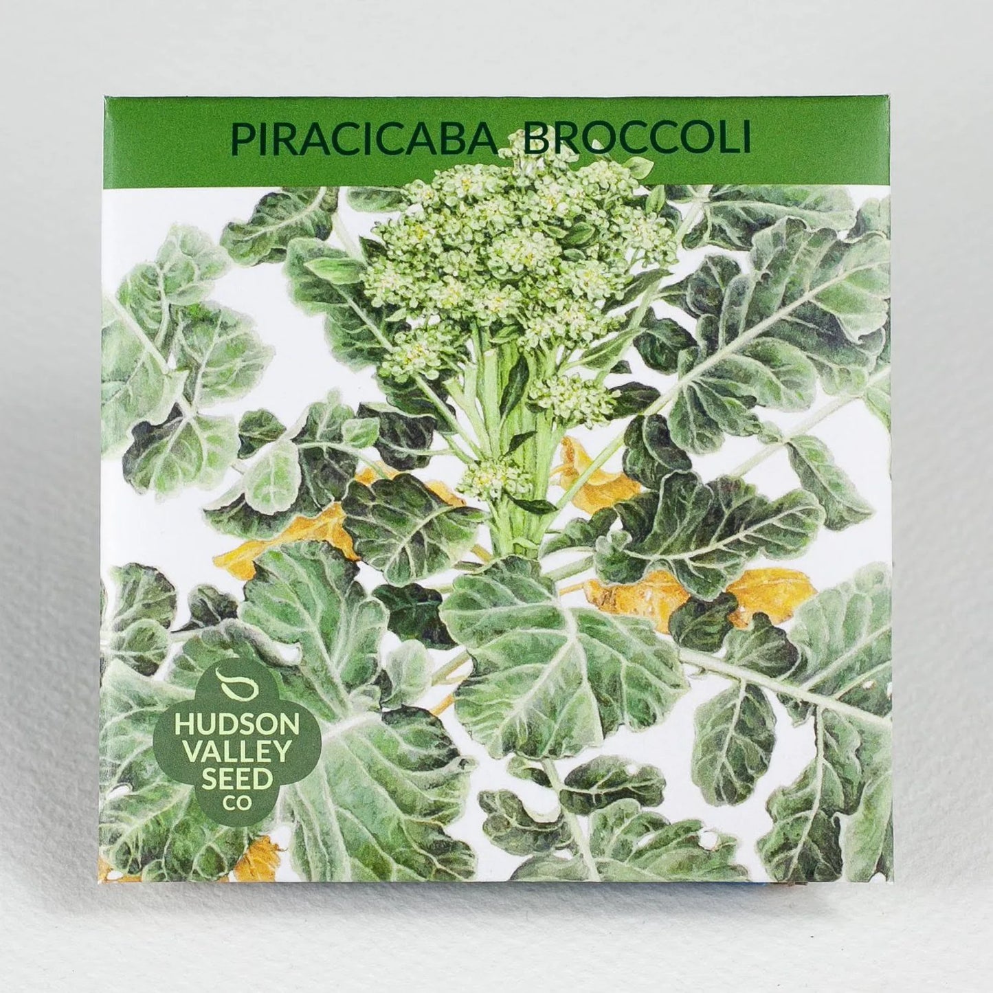 Piracicaba Broccoli