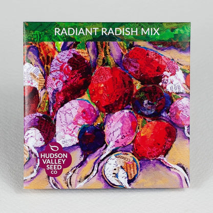 Radiant Radish Mix - The Feral Market