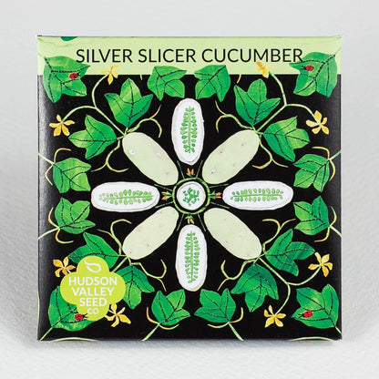 Silver Slicer Cucumber - The Feral Market