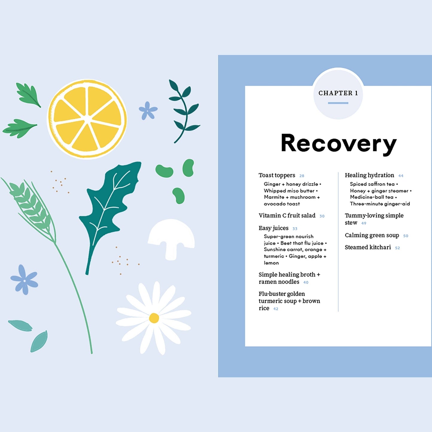 The Healing Cookbook: Nourishing Plant-Based Recipes