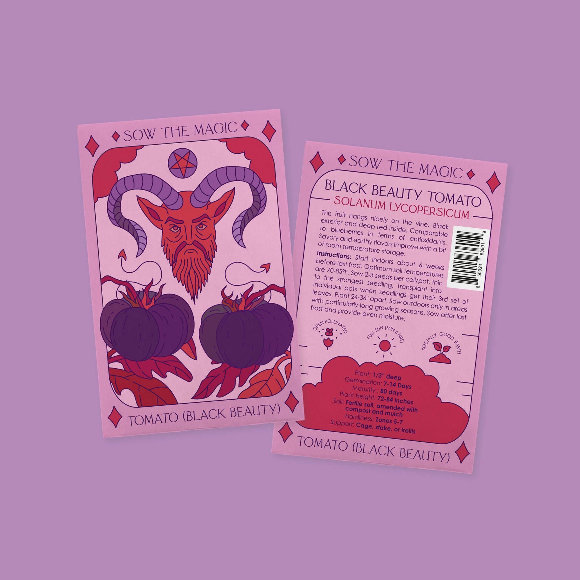Black Beauty Tomato Tarot Garden + Gift Seed Packet - Thumbnail 3
