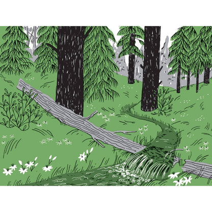 Pocket Nature: Tree Hugging