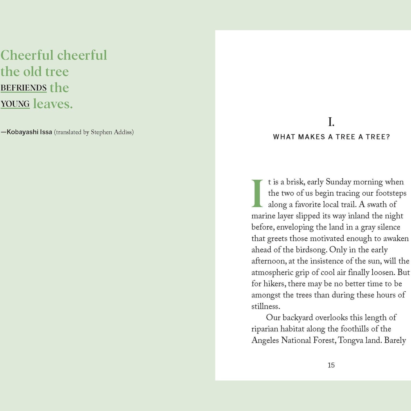 Pocket Nature: Tree Hugging