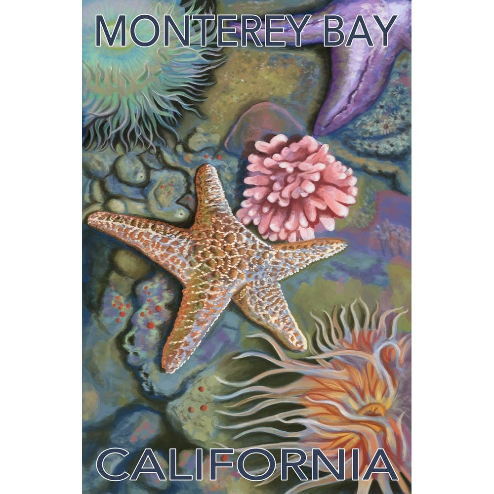 ORGANIC TEA TOWEL Monterey Bay, California, Tidepool 2 - Thumbnail 4