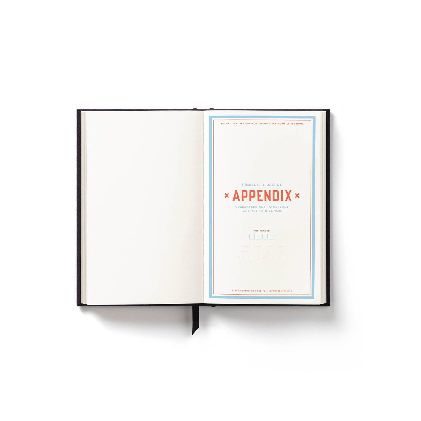 Brass Monkey Hidden Agenda Undated Mini Planner