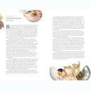 Around the Ocean in 80 Fish and other Sea Life