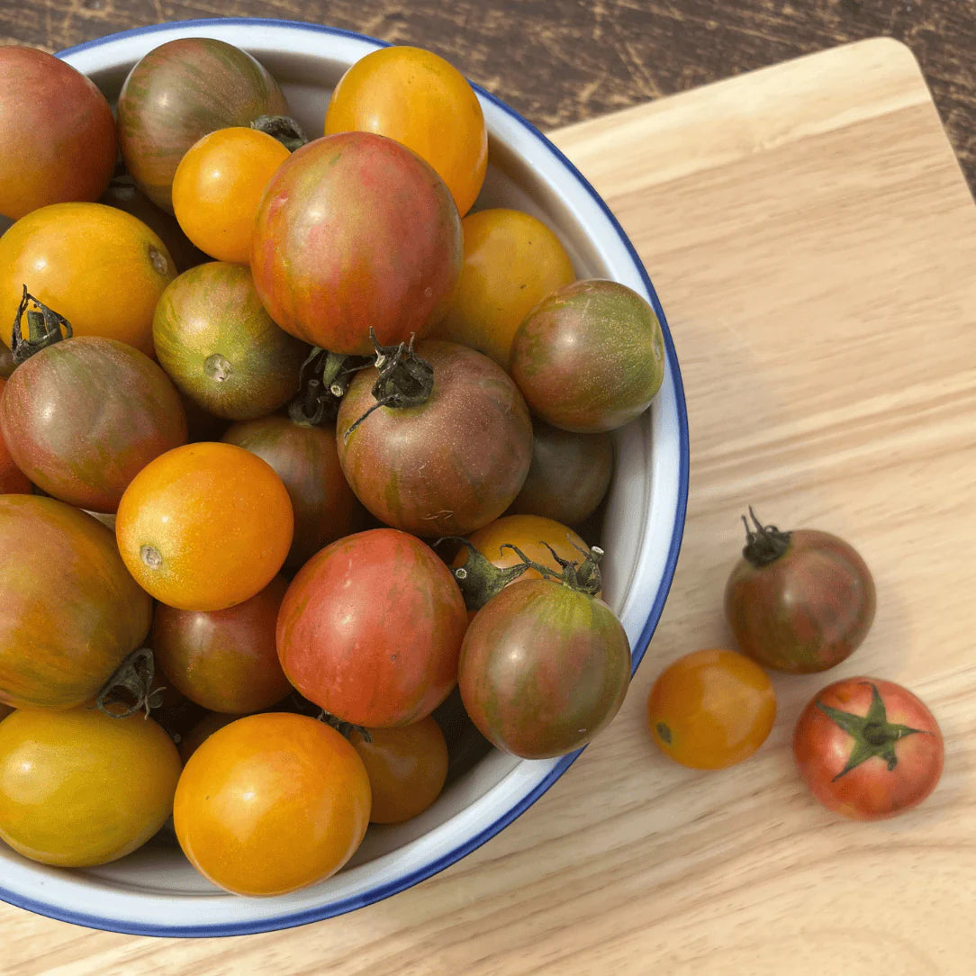 Hudson Valley Seed Co. Bumble Bee Mix Cherry Tomato - Thumbnail 2
