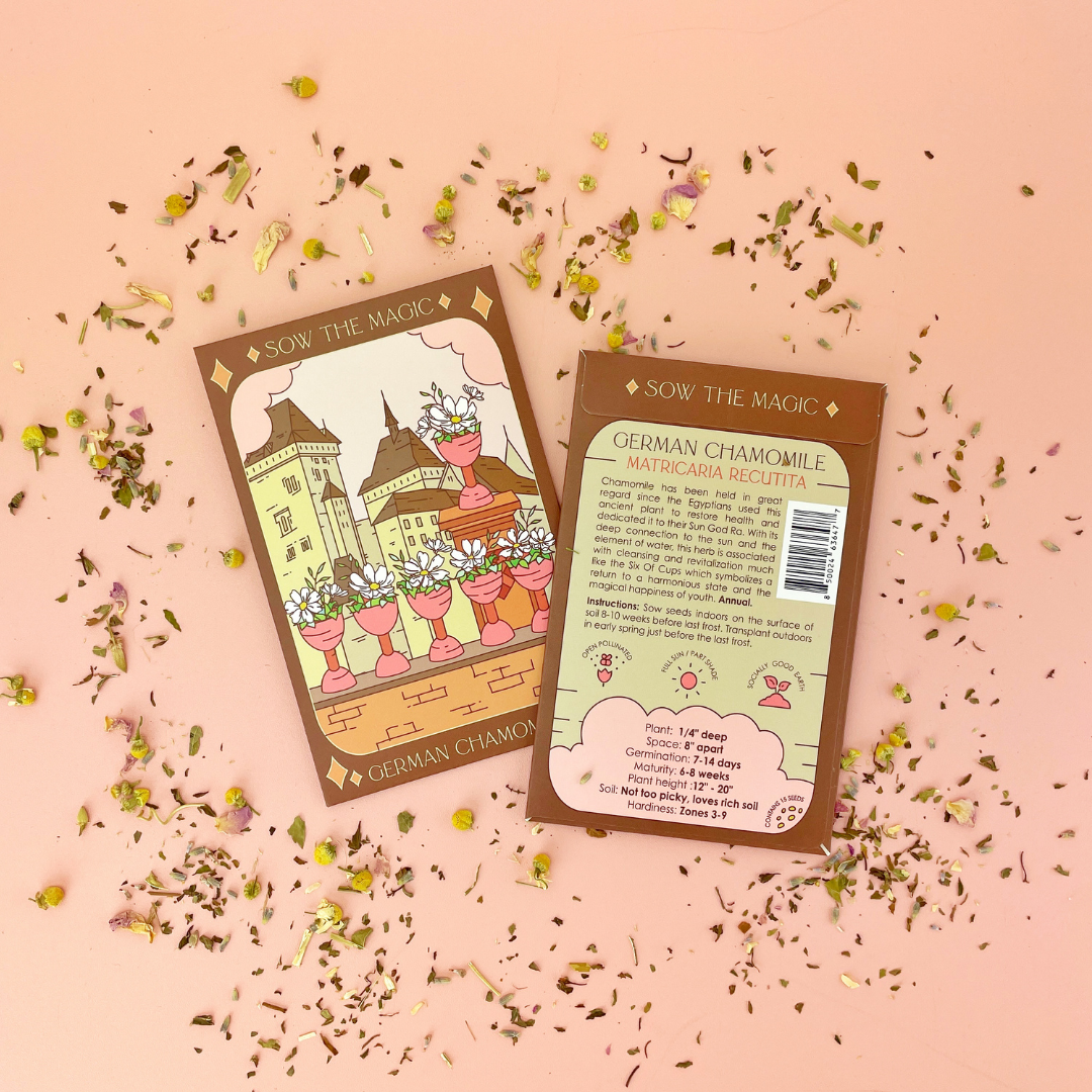 German Chamomile Tarot Garden + Gift Seed Packet - Thumbnail 2