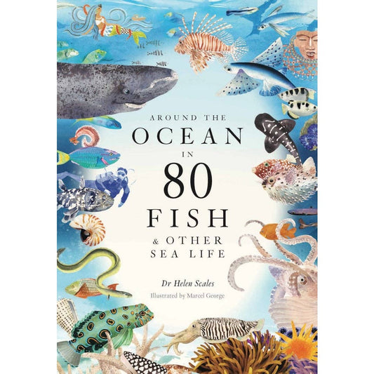 Around the Ocean in 80 Fish and other Sea Life