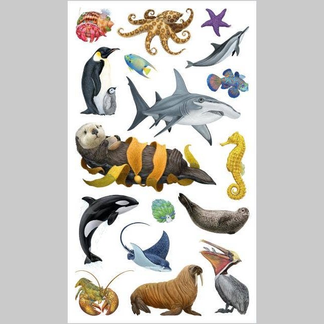Temporary Tattoos That Teach: Ocean Animals