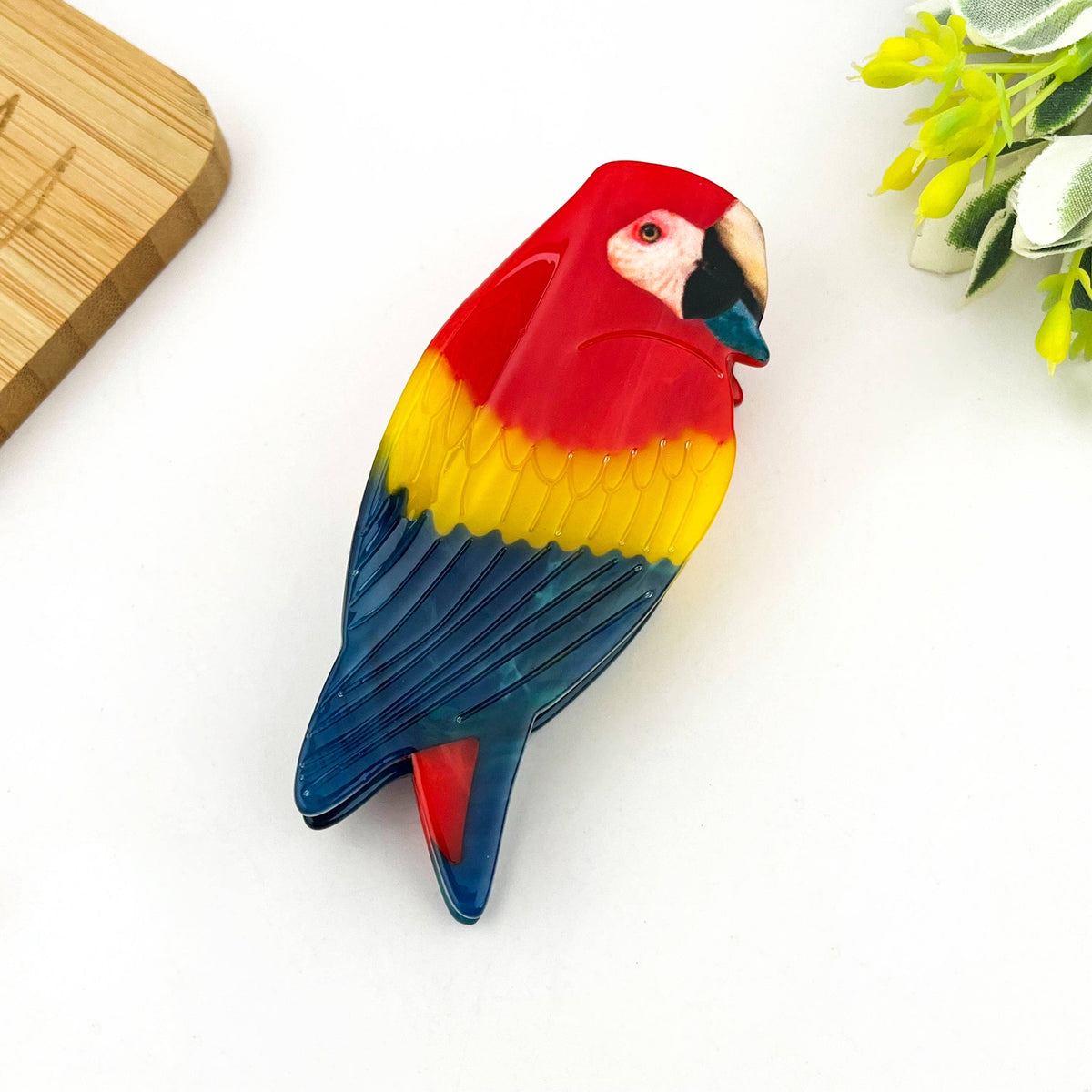 Colorful Parrot Claw Hair Clip, Acetate Eagle Hair Clip - The Feral Market