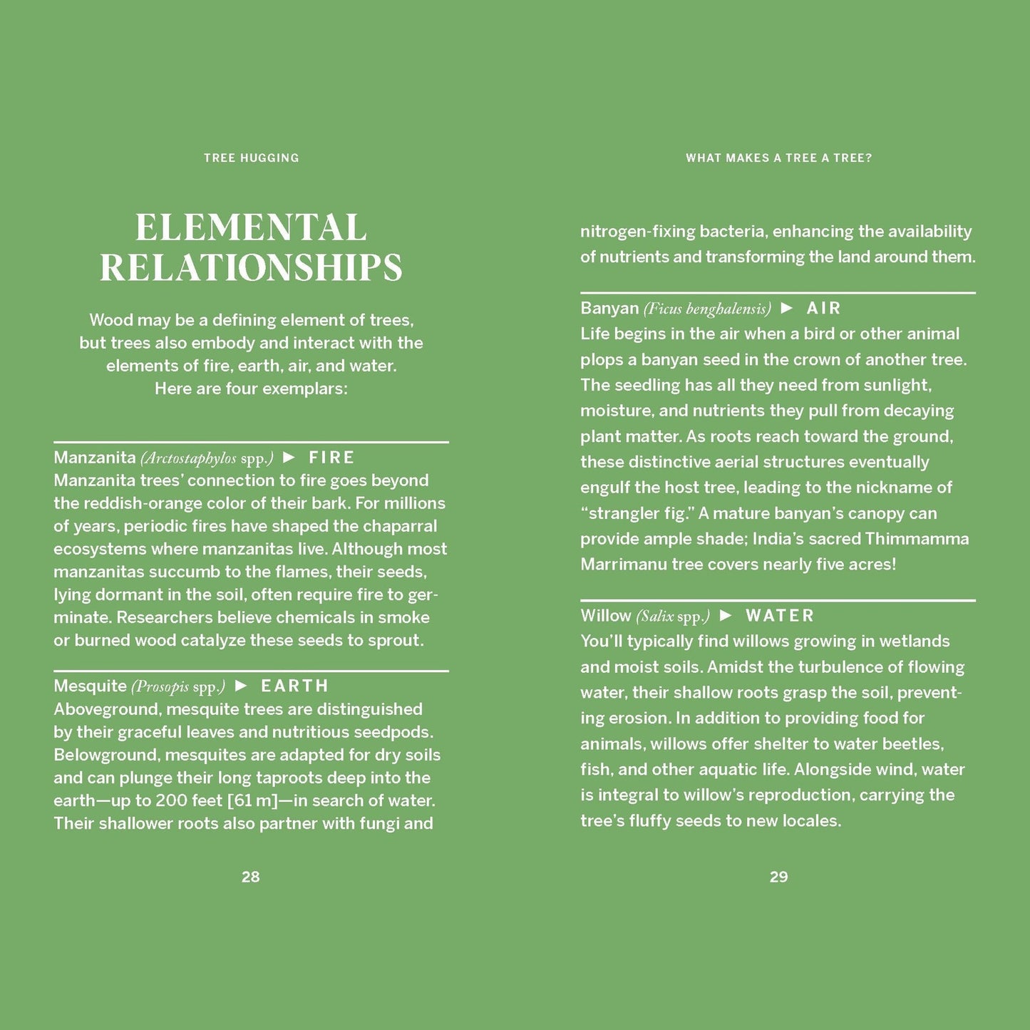 Pocket Nature: Tree Hugging