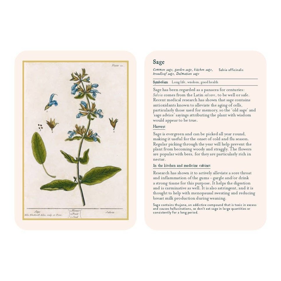 Healing Plants