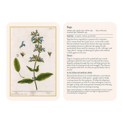 Healing Plants