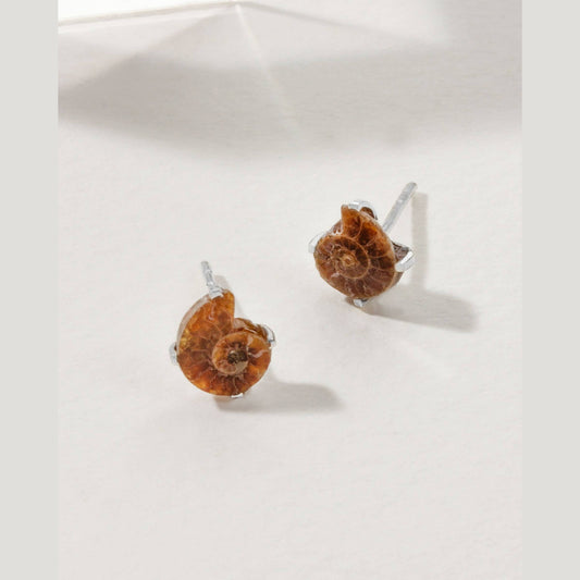 Ammonite Sterling Silver Post Earrings