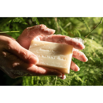 Redwood Mist Organic Bar Soap | Vegan Soap | Organic Soap - The Feral Market