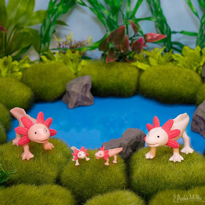 Box Of Axolotls