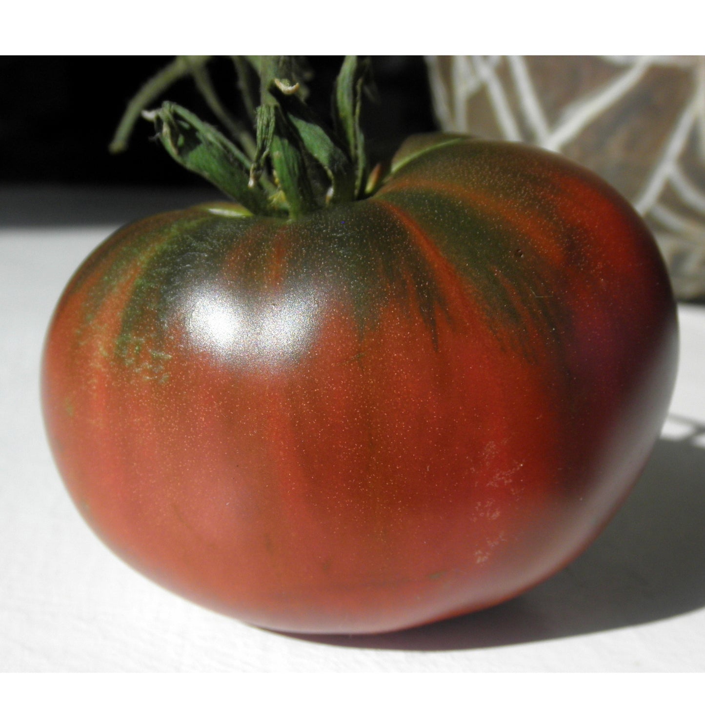 Paul Robeson Tomato Tarot Garden + Gift Seed Packet