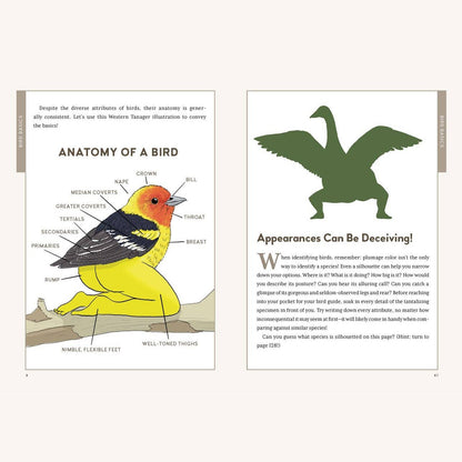 Extremely Accurate Birds